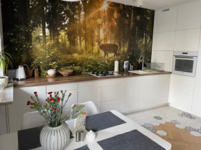 Apartament z tarasem przy parku